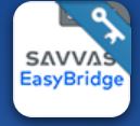 Savvas 